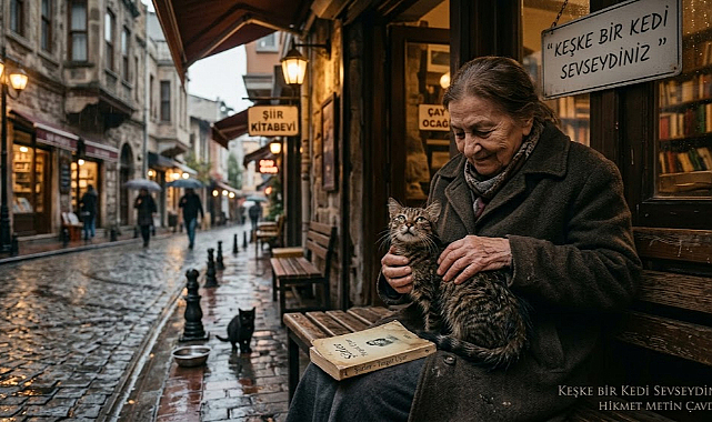 Keşke Bir Kedi Sevseydiniz